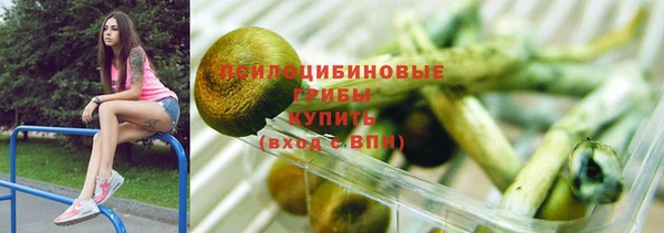 прущие грибы Кодинск