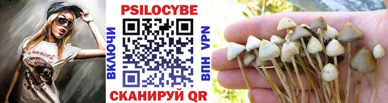 hydra зеркало  Красавино  Галлюциногенные грибы прущие грибы 